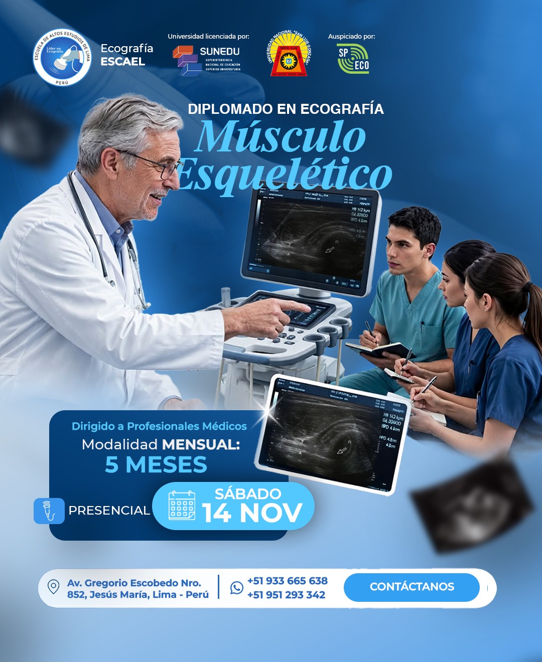 MSK 12 MENSUAL